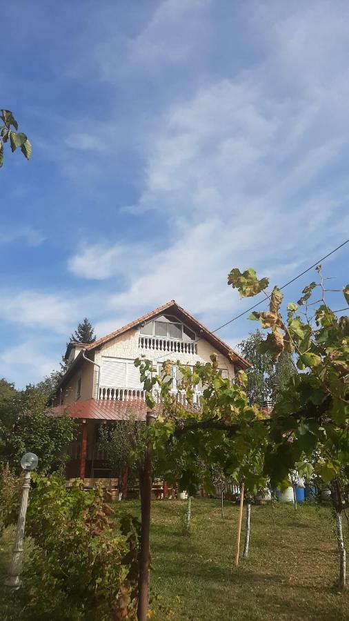 Aleksandar Vila Br Vrdnik Exterior foto