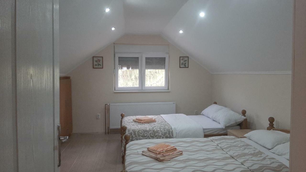 Aleksandar Vila Br Vrdnik Zimmer foto